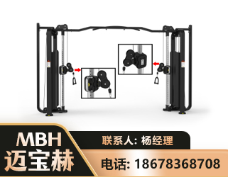 三门峡大飞鸟训练器